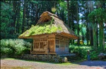 Moss covered shrine